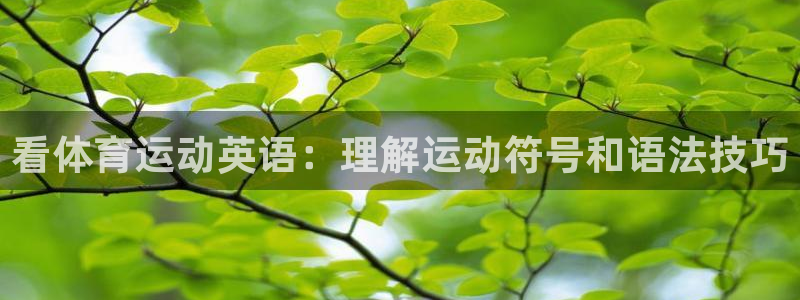kok中欧体育登录：看体育运动英语：理解运动符号和语法技巧