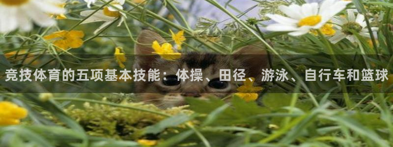 zyty中欧体育平台：竞技体育的五项基本技能：体操、田径、游泳、自行车和篮球