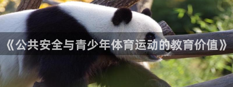 中欧体育zoty下载：《公共安全与青少年体育运动的教育价值》