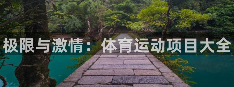 中欧体育李勇鸿：极限与激情：体育运动项目大全