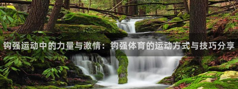 中欧体育客服：钩强运动中的力量与激情：钩强体育的运动方式与技巧分享