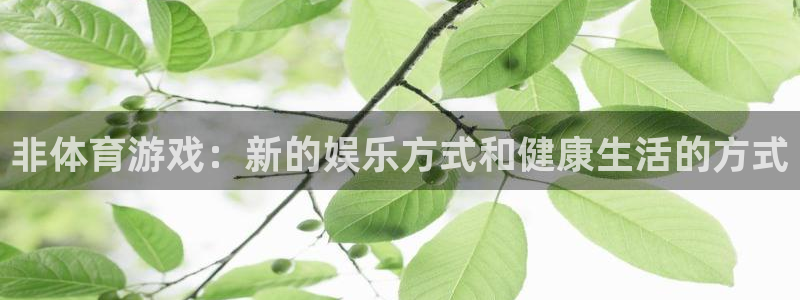 中欧体育登录：非体育游戏：新的娱乐方式和健康生活的方式