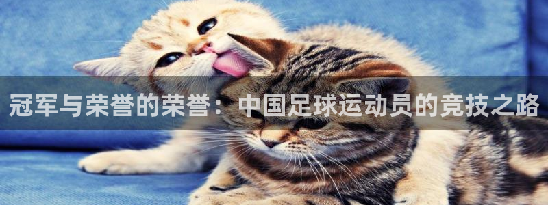 kok中欧体育：冠军与荣誉的荣誉：中国足球运动员的竞技之路