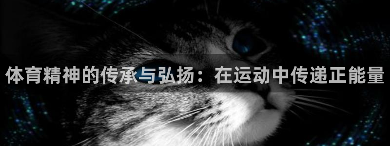 kok新版中欧体育：体育精神的传承与弘扬：在运动中传递正能量