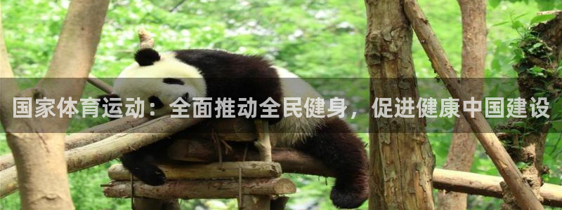 中欧体育全站app：国家体育运动：全面推动全民健身，促进健康中国建设