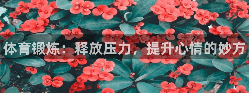 中欧体育平台：体育锻炼：释放压力，提升心情的妙方